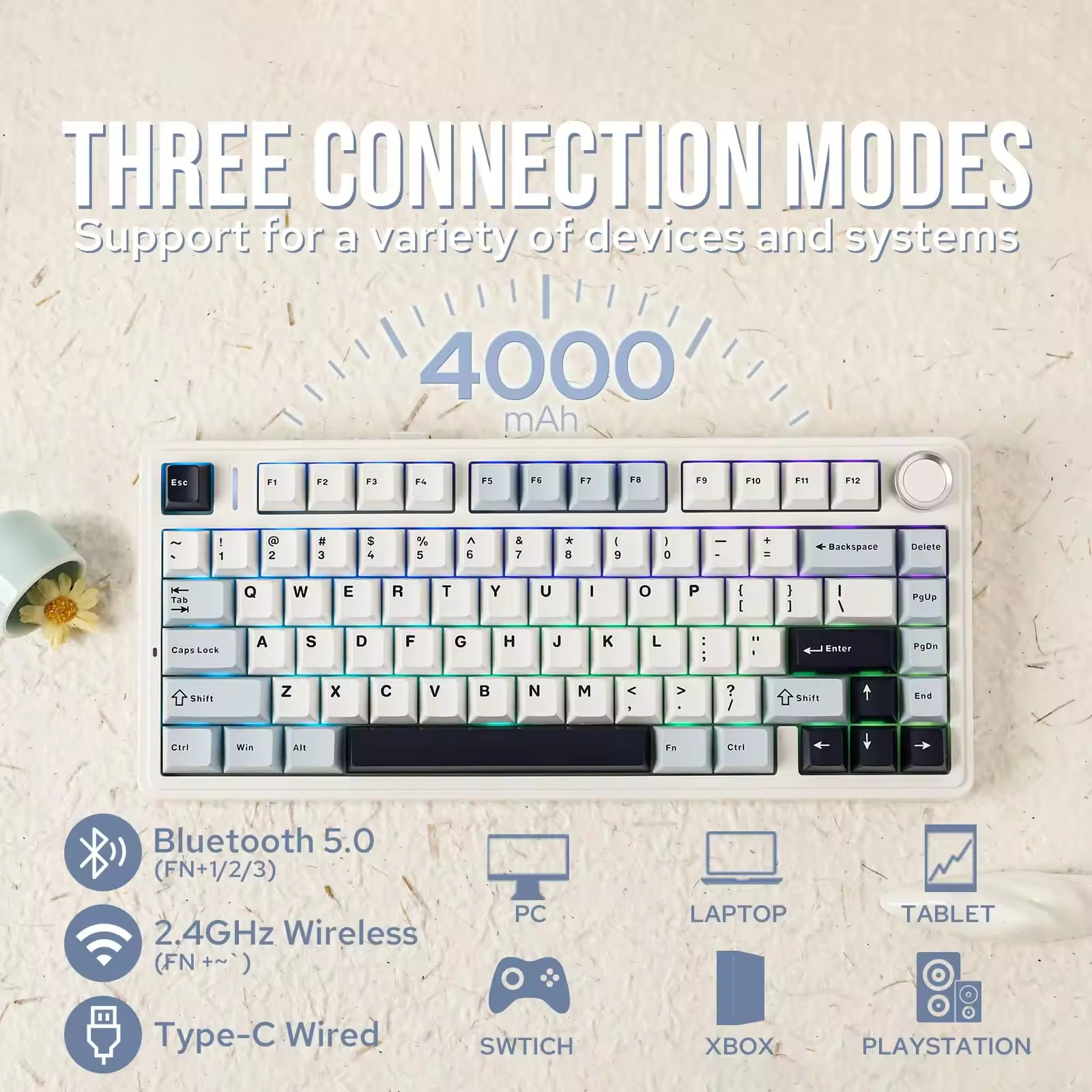مواقع التسوق تاجر الجملة الدول - مراجعة Gaming Accessories Shop وسعره